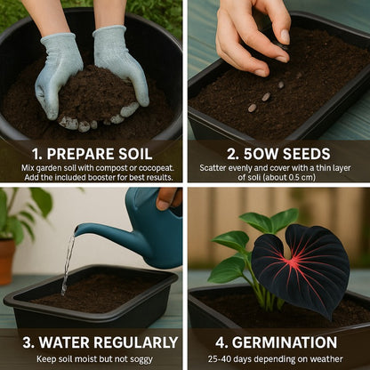 🌿 Premium Hosta Seeds (96g) + Free 100g Organic Pot Mix 🌱